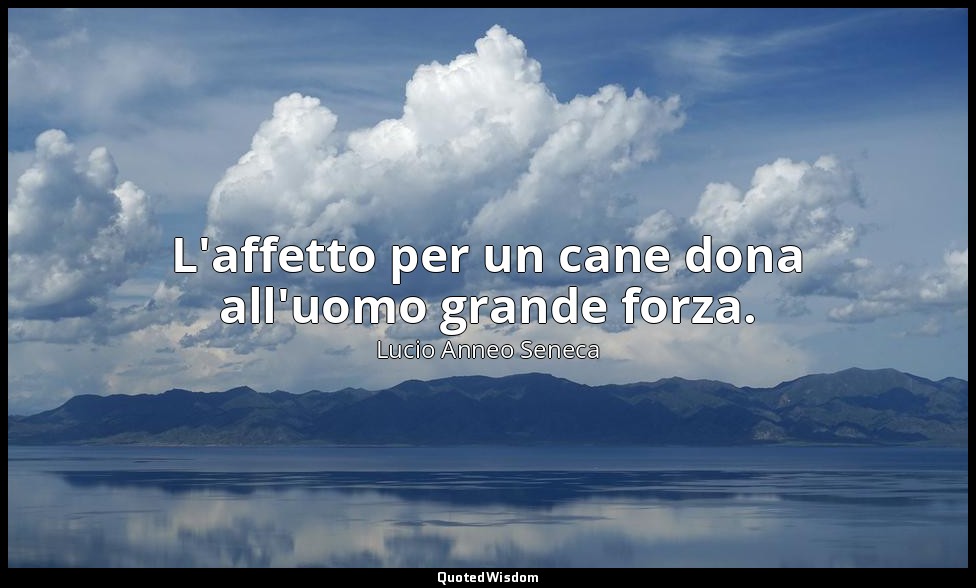 L'affetto per un cane dona all'uomo grande forza. — Lucio Anneo Seneca