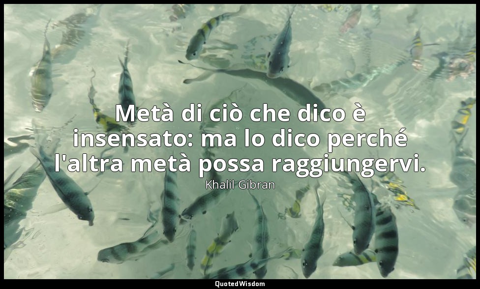 Metà di ciò che dico è insensato: ma lo dico perché l'altra metà possa raggiunge — Khalil Gibran