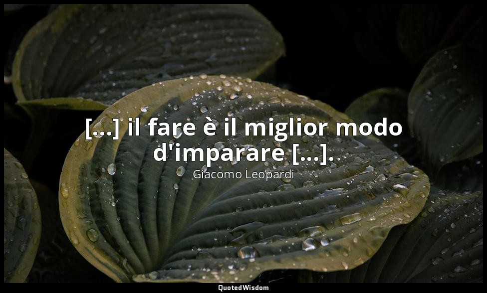 [...] il fare è il miglior modo d'imparare [...]. (dalla lettera al fratello Pie — Giacomo Leopardi