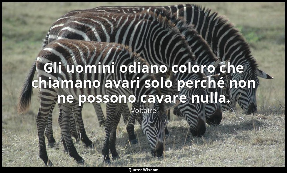 Gli uomini odiano coloro che chiamano avari solo perché non ne possono cavare nu — Voltaire