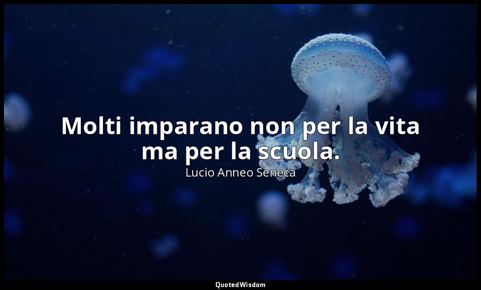 Molti imparano non per la vita ma per la scuola. (106, 12) — Lucio Anneo Seneca