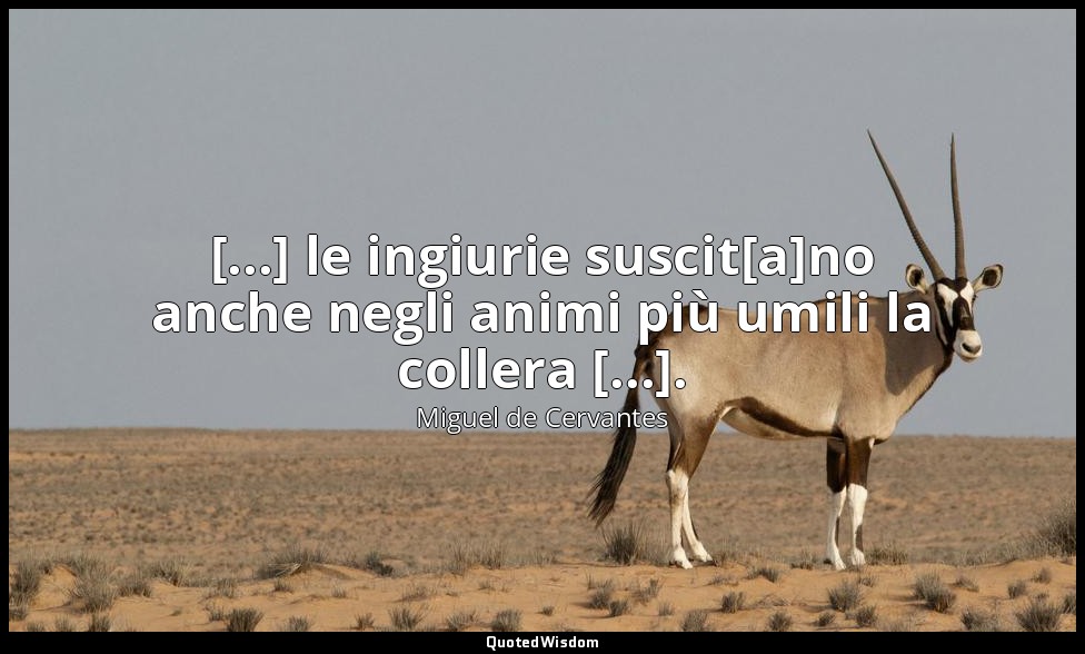 [...] le ingiurie suscit[a]no anche negli animi più umili la collera [...]. — Miguel de Cervantes