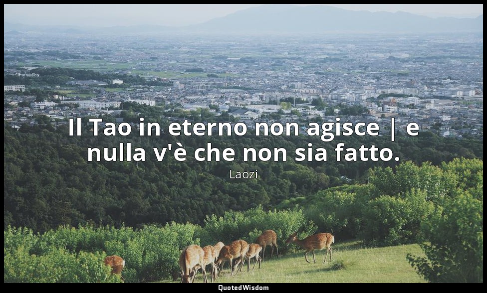 Il Tao in eterno non agisce | e nulla v'è che non sia fatto. — Laozi