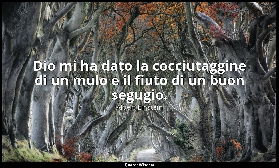 Dio mi ha dato la cocciutaggine di un mulo e il fiuto di un buon segugio. — Albert Einstein
