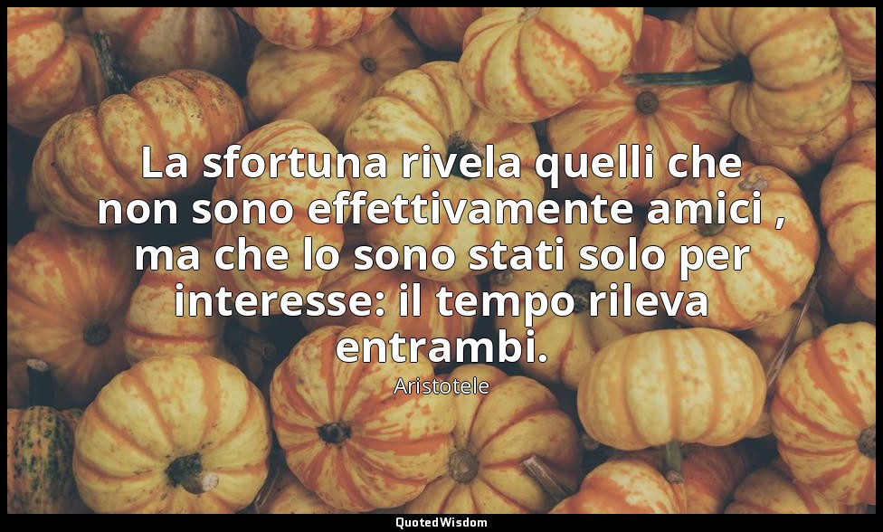 La sfortuna rivela quelli che non sono effettivamente amici , ma che lo sono sta — Aristotele