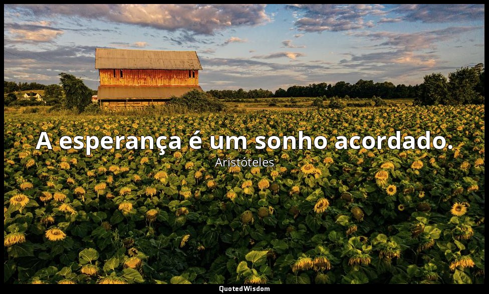 A esperança é um sonho acordado. — Aristóteles