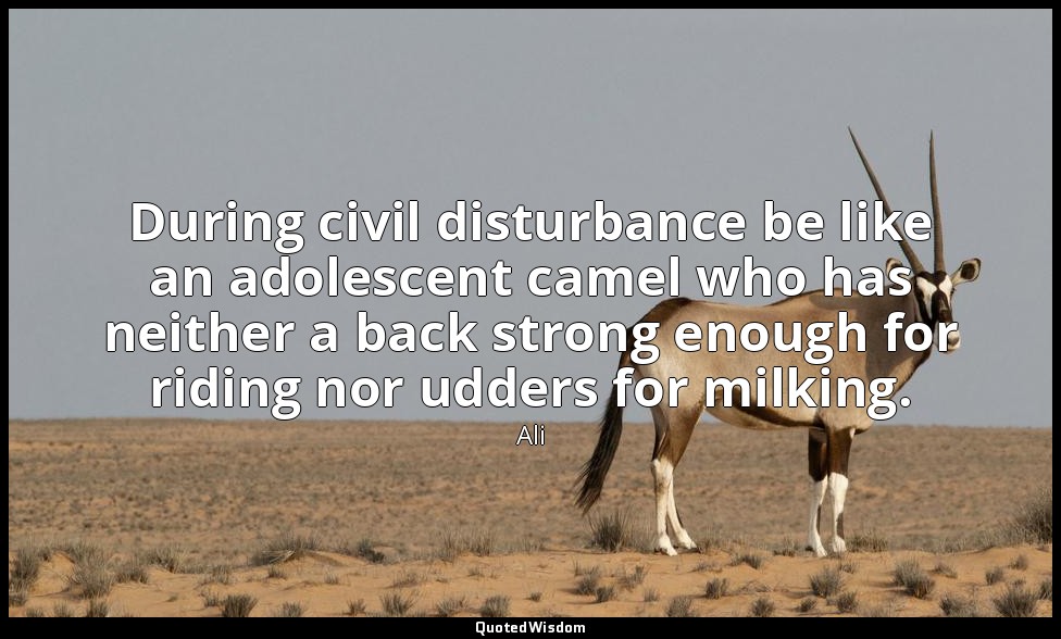 During civil disturbance be like an adolescent camel who has neither a back stro — Ali