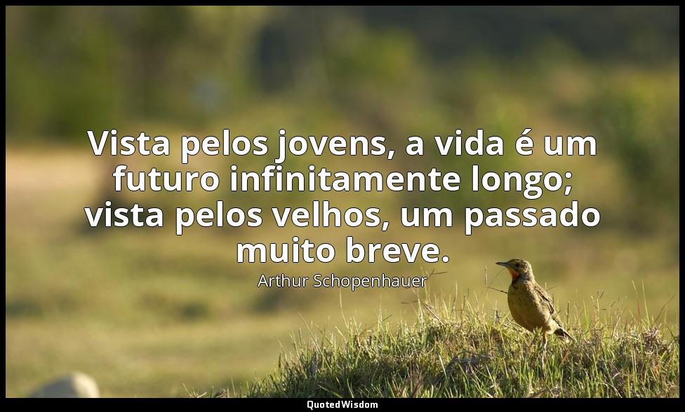 Vista pelos jovens, a vida é um futuro infinitamente longo; vista pelos velhos,  — Arthur Schopenhauer