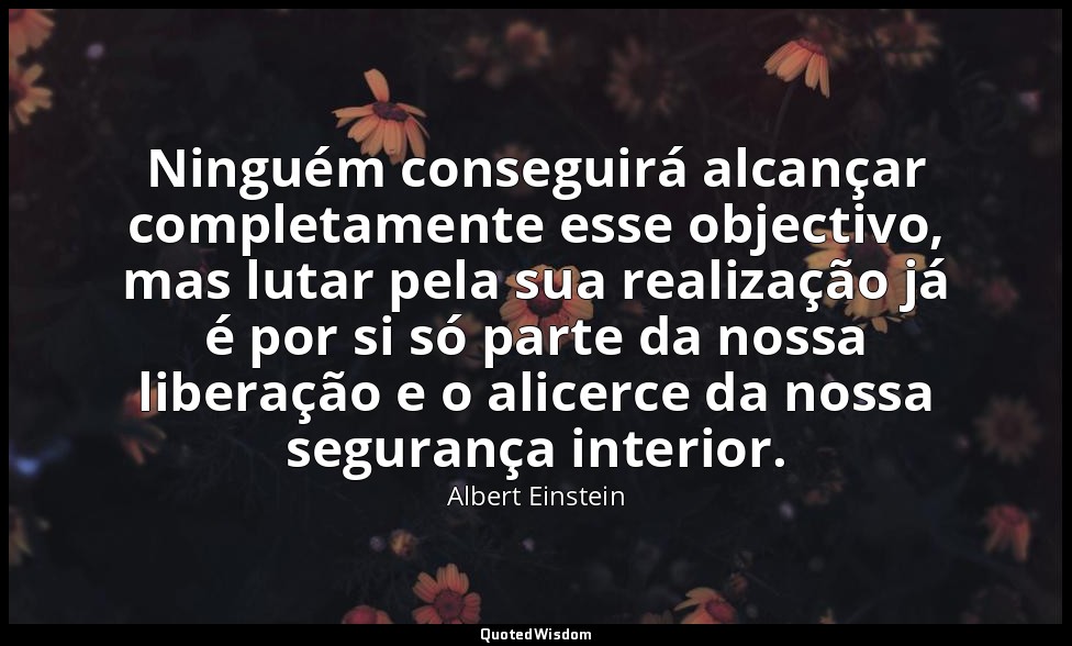 Ninguém conseguirá alcançar completamente esse objectivo, mas lutar pela sua rea — Albert Einstein