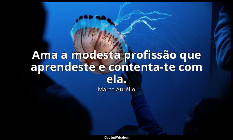 Ama a modesta profissão que aprendeste e contenta-te com ela. — Marco Aurélio
