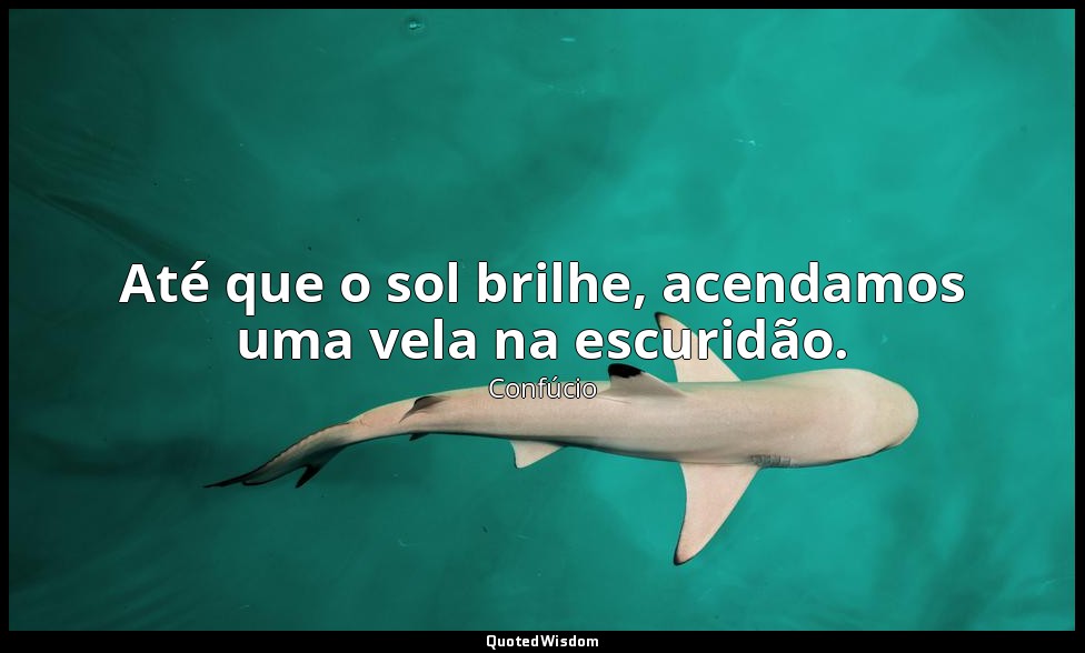 Até que o sol brilhe, acendamos uma vela na escuridão. — Confúcio