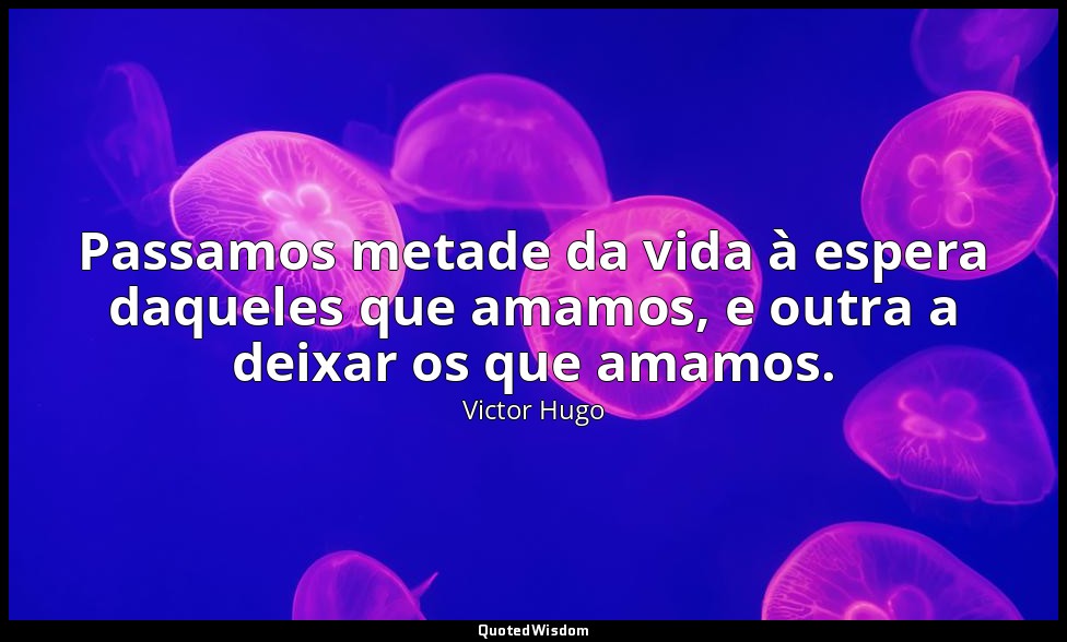 Passamos metade da vida à espera daqueles que amamos, e outra a deixar os que am — Victor Hugo
