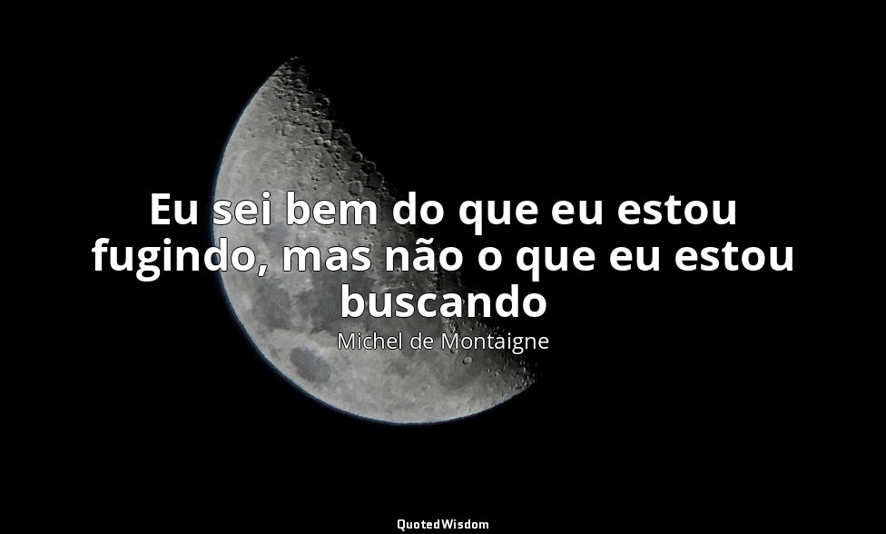 Eu sei bem do que eu estou fugindo, mas não o que eu estou buscando — Michel de Montaigne