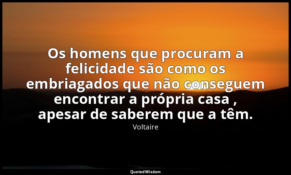 Os homens que procuram a felicidade são como os embriagados que não conseguem en — Voltaire