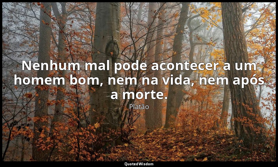 Nenhum mal pode acontecer a um homem bom, nem na vida, nem após a morte. — Platão