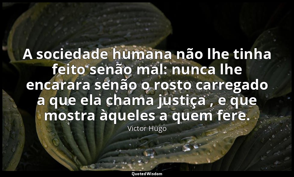 A sociedade humana não lhe tinha feito senão mal: nunca lhe encarara senão o ros — Victor Hugo