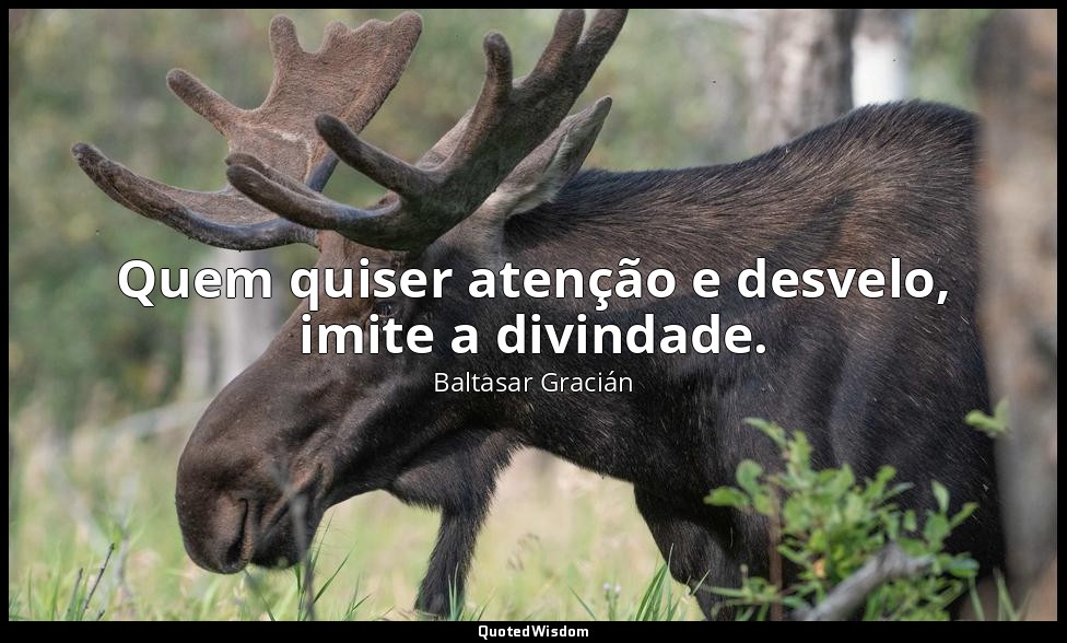 Quem quiser atenção e desvelo, imite a divindade. — Baltasar Gracián