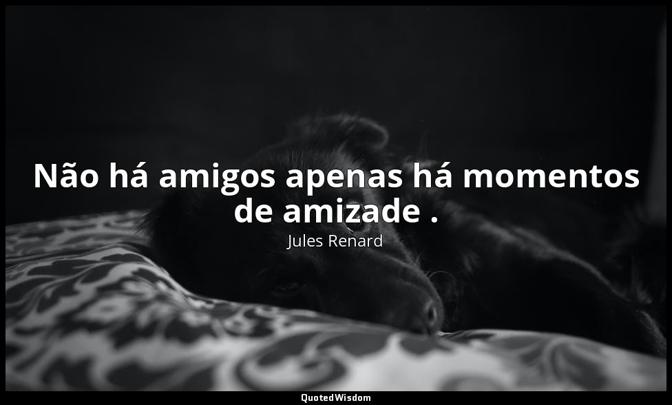 Não há amigos apenas há momentos de amizade . — Jules Renard