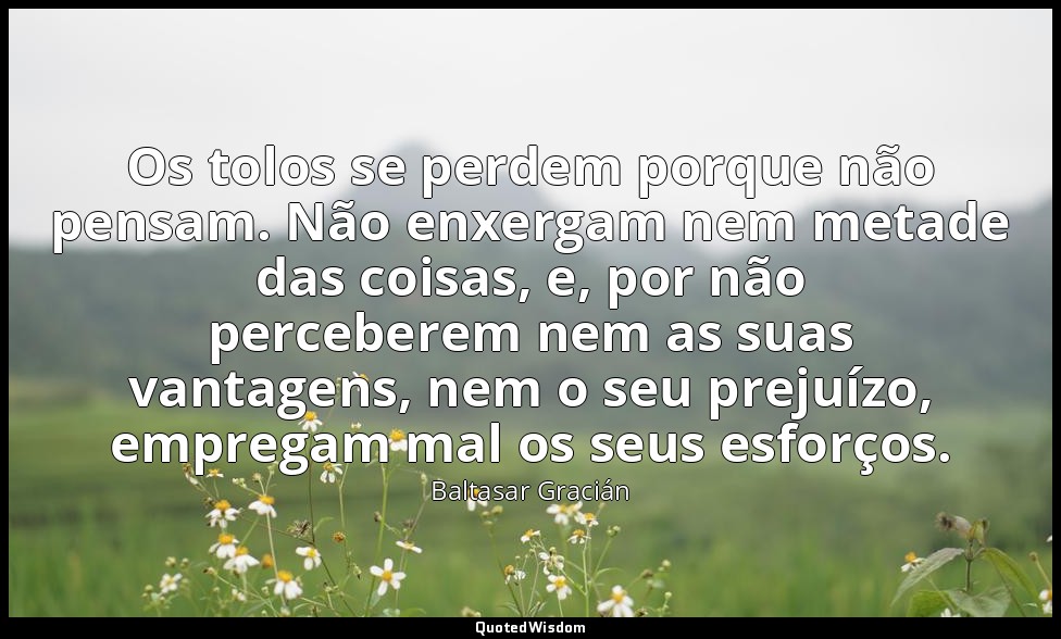 Os tolos se perdem porque não pensam. Não enxergam nem metade das coisas, e, por — Baltasar Gracián