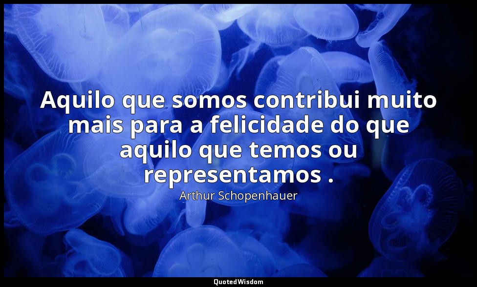 Aquilo que somos contribui muito mais para a felicidade do que aquilo que temos  — Arthur Schopenhauer
