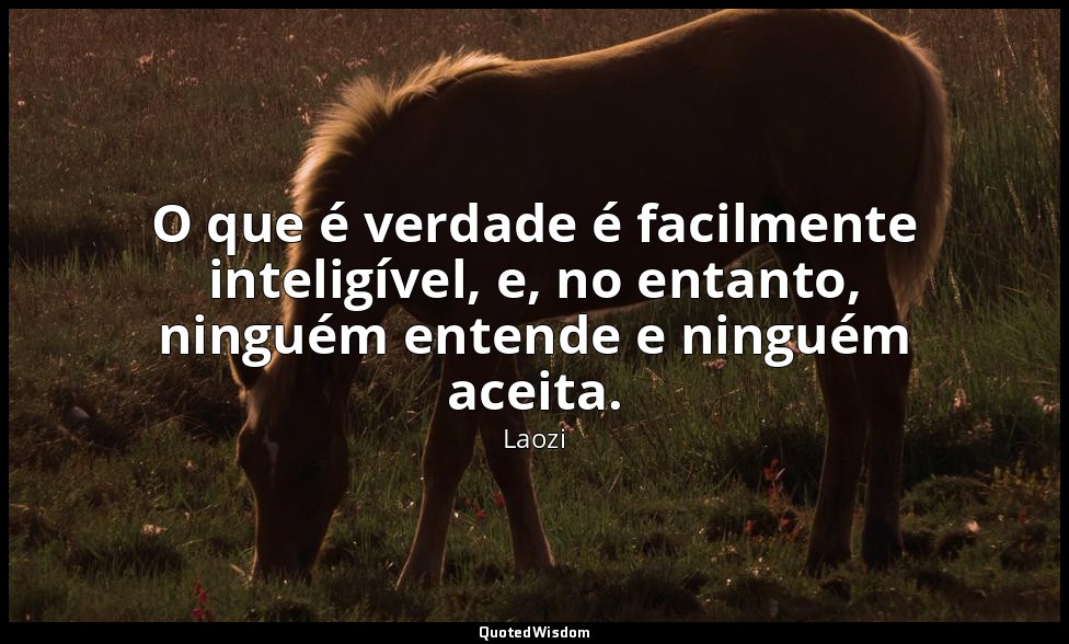 O que é verdade é facilmente inteligível, e, no entanto, ninguém entende e ningu — Laozi