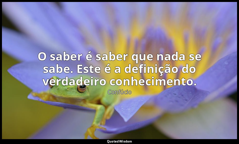 O saber é saber que nada se sabe. Este é a definição do verdadeiro conhecimento. — Confúcio