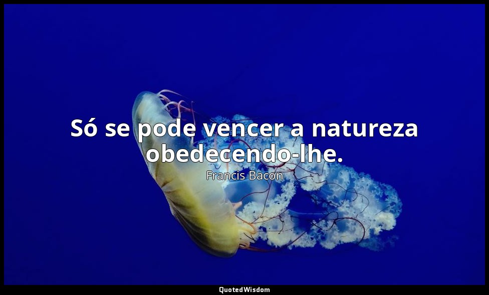 Só se pode vencer a natureza obedecendo-lhe. — Francis Bacon