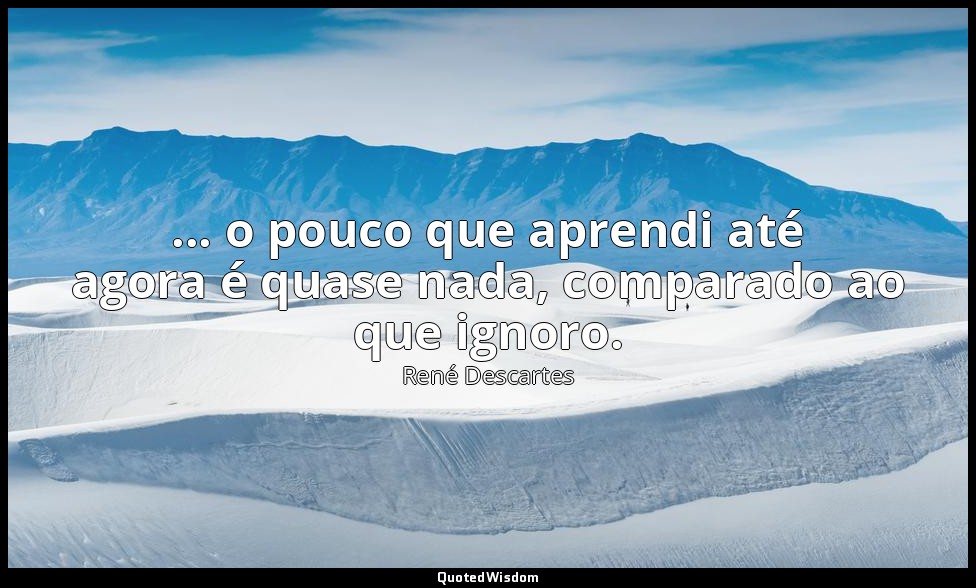 ... o pouco que aprendi até agora é quase nada, comparado ao que ignoro. — René Descartes