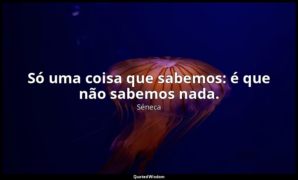 Só uma coisa que sabemos: é que não sabemos nada. — Séneca