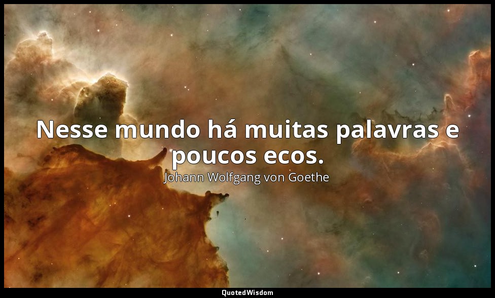 Nesse mundo há muitas palavras e poucos ecos. — Johann Wolfgang von Goethe