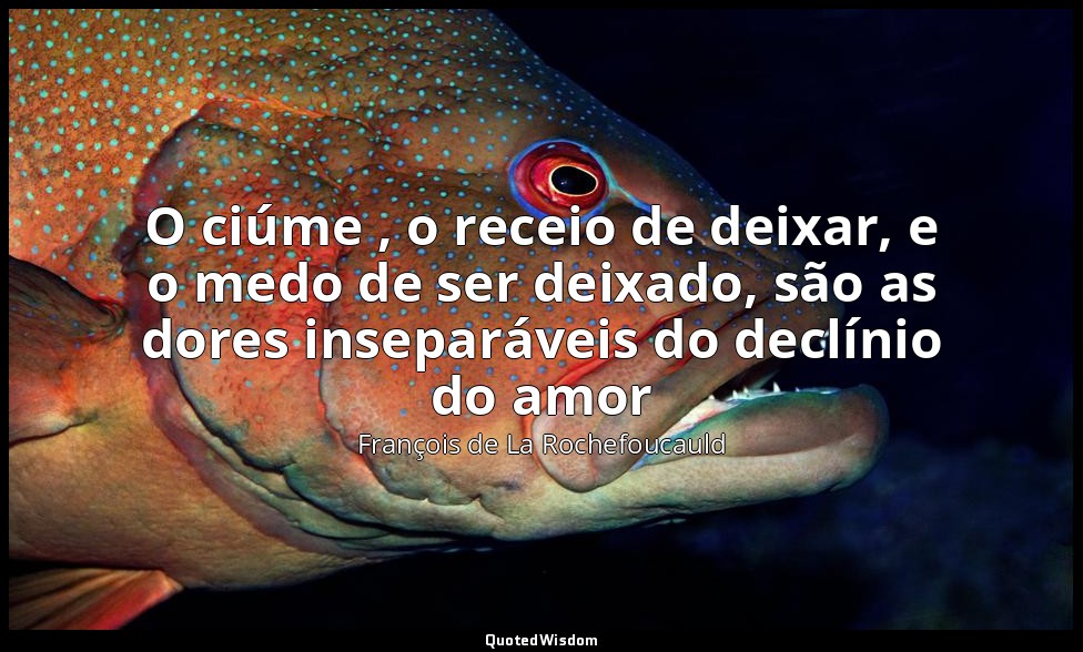 O ciúme , o receio de deixar, e o medo de ser deixado, são as dores inseparáveis — François de La Rochefoucauld
