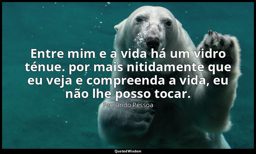 Entre mim e a vida há um vidro ténue. por mais nitidamente que eu veja e compree — Fernando Pessoa