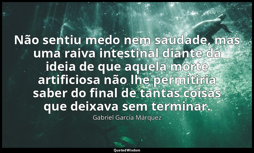 Não sentiu medo nem saudade, mas uma raiva intestinal diante da ideia de que aqu — Gabriel García Márquez