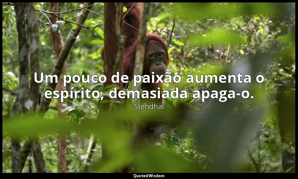 Um pouco de paixão aumenta o espírito, demasiada apaga-o. — Stendhal