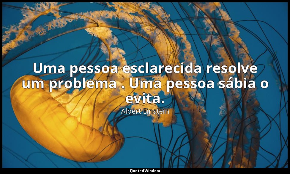 Uma pessoa esclarecida resolve um problema . Uma pessoa sábia o evita. — Albert Einstein