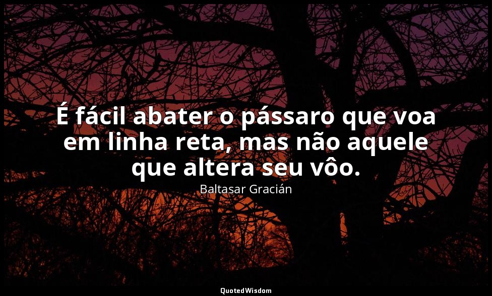 É fácil abater o pássaro que voa em linha reta, mas não aquele que altera seu vô — Baltasar Gracián