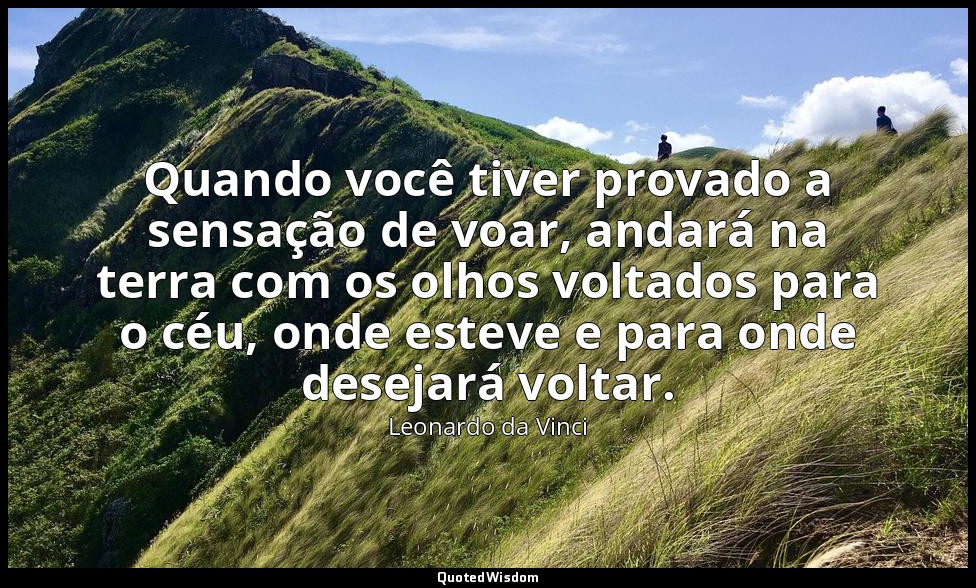 Quando você tiver provado a sensação de voar, andará na terra com os olhos volta — Leonardo da Vinci