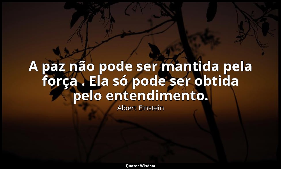 A paz não pode ser mantida pela força . Ela só pode ser obtida pelo entendimento — Albert Einstein