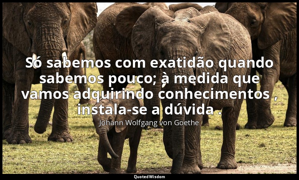 Só sabemos com exatidão quando sabemos pouco; à medida que vamos adquirindo conh — Johann Wolfgang von Goethe