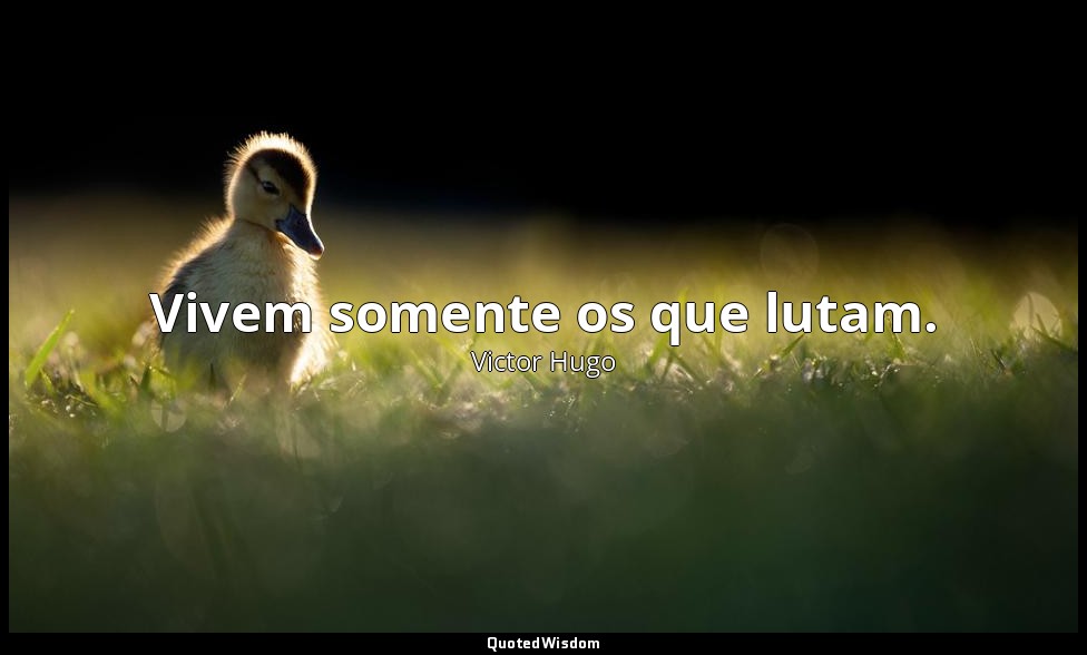 Vivem somente os que lutam. — Victor Hugo