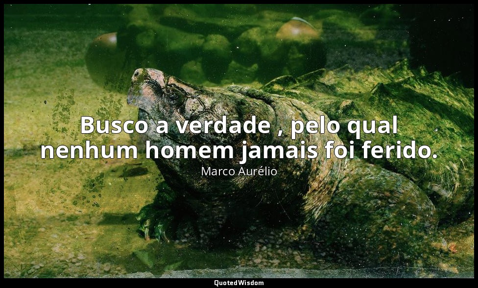Busco a verdade , pelo qual nenhum homem jamais foi ferido. — Marco Aurélio