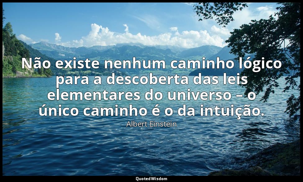 Não existe nenhum caminho lógico para a descoberta das leis elementares do unive — Albert Einstein