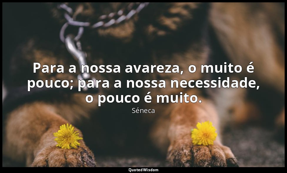 Para a nossa avareza, o muito é pouco; para a nossa necessidade, o pouco é muito — Séneca