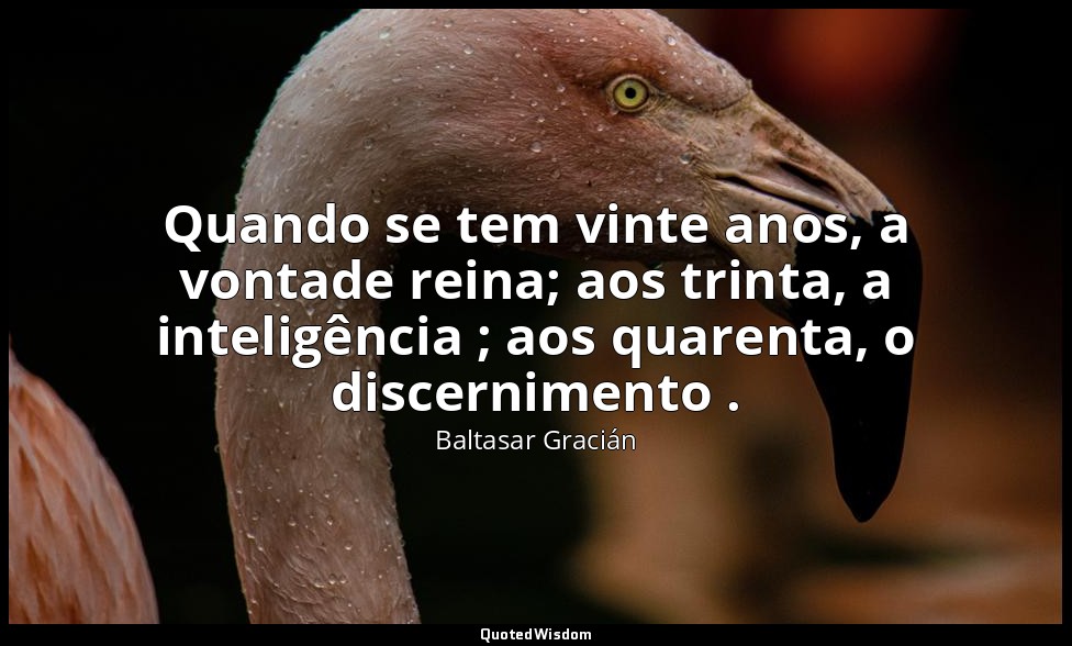 Quando se tem vinte anos, a vontade reina; aos trinta, a inteligência ; aos quar — Baltasar Gracián