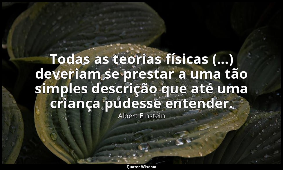 Todas as teorias físicas (...) deveriam se prestar a uma tão simples descrição q — Albert Einstein