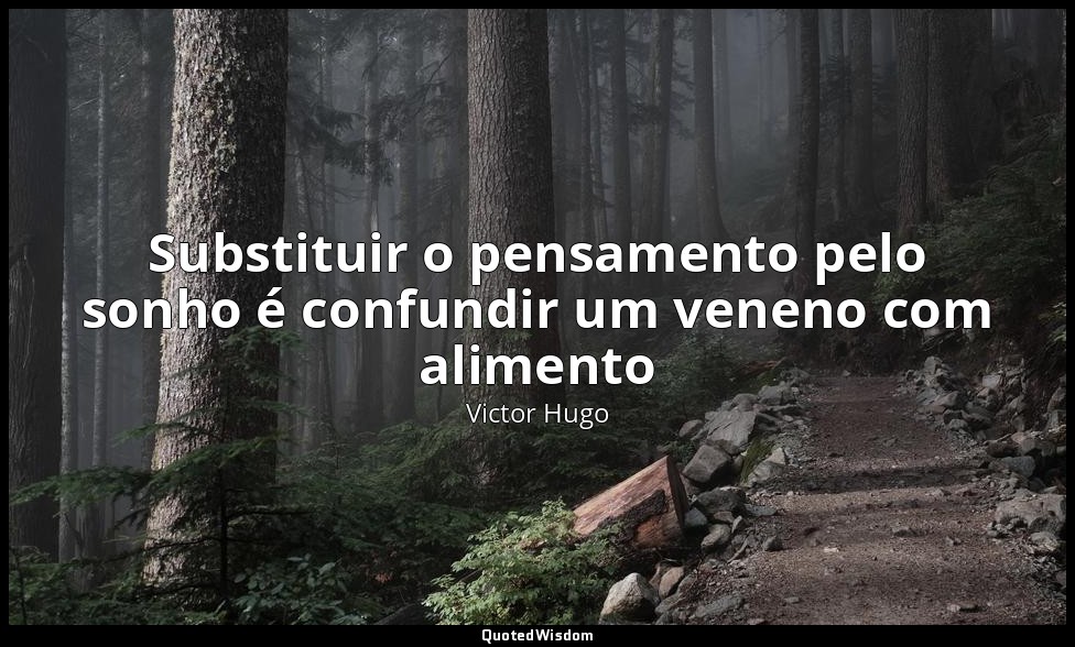Substituir o pensamento pelo sonho é confundir um veneno com alimento — Victor Hugo