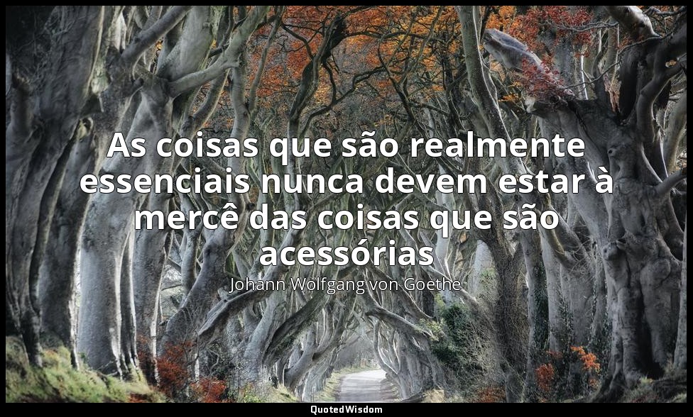 As coisas que são realmente essenciais nunca devem estar à mercê das coisas que  — Johann Wolfgang von Goethe
