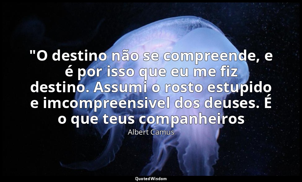 "O destino não se compreende, e é por isso que eu me fiz destino. Assumi o rosto — Albert Camus