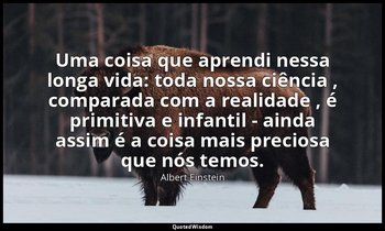 "Uma coisa que aprendi nessa longa vida: toda nossa ciência , comparada com a re — Albert Einstein
