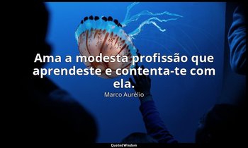 "Ama a modesta profissão que aprendeste e contenta-te com ela." — Marco Aurélio